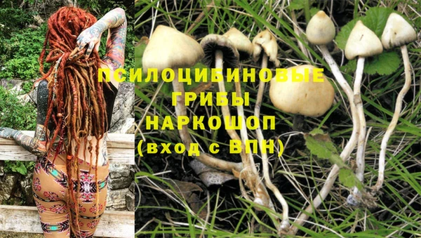 дживик Алексин