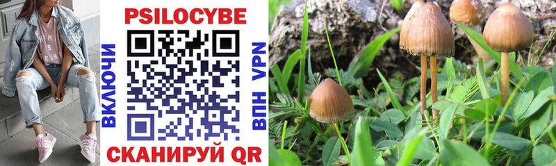 Галлюциногенные грибы Magic Shrooms  Усть-Катав 